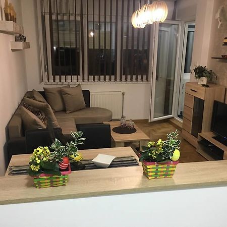 Apartment Sinisa With Garage Novi Sad Exteriör bild